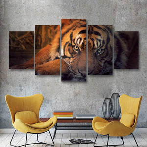 Tiger Resting 5 Piece Canvas Small / No Frame Wall
